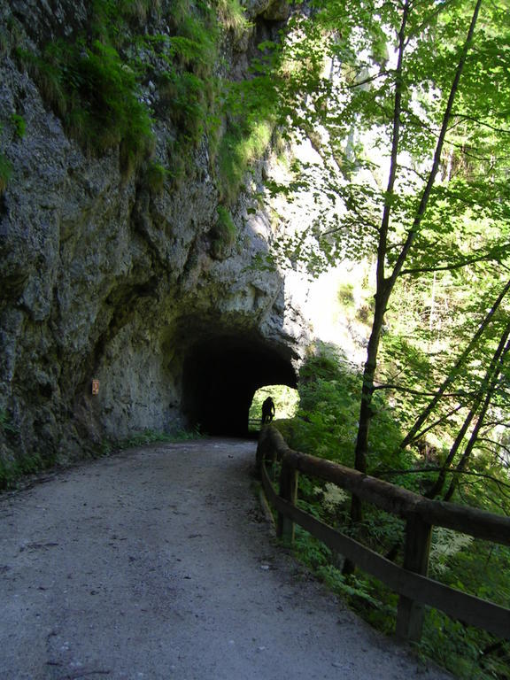Gasthof Hensle Sankt Gallen Exteriör bild
